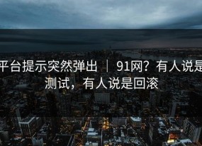 平台提示突然弹出 ｜ 91网？有人说是测试，有人说是回滚
